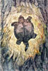 Mother Earth