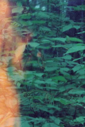 Detail 4