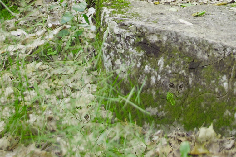 Detail 1