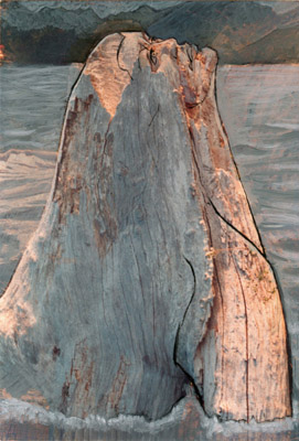 Whale Maiden