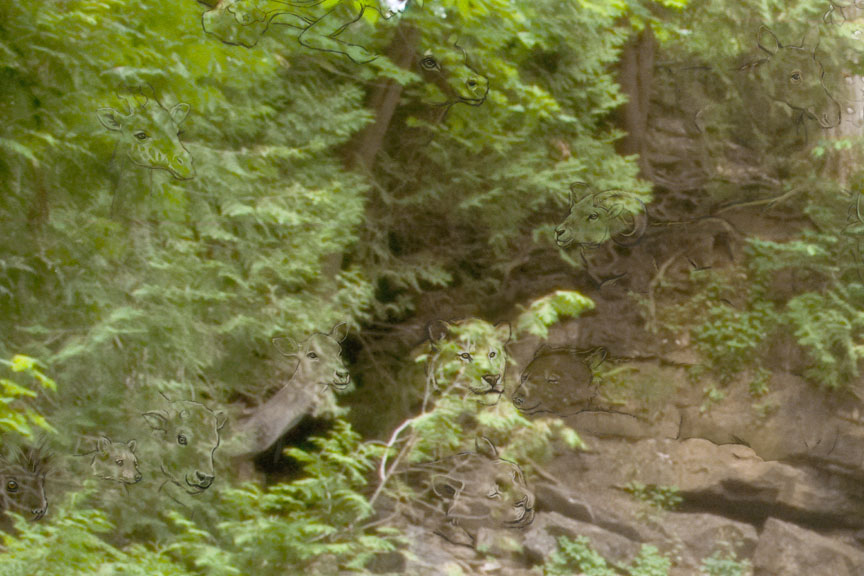 Detail 1