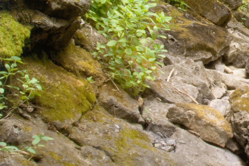 Detail 1