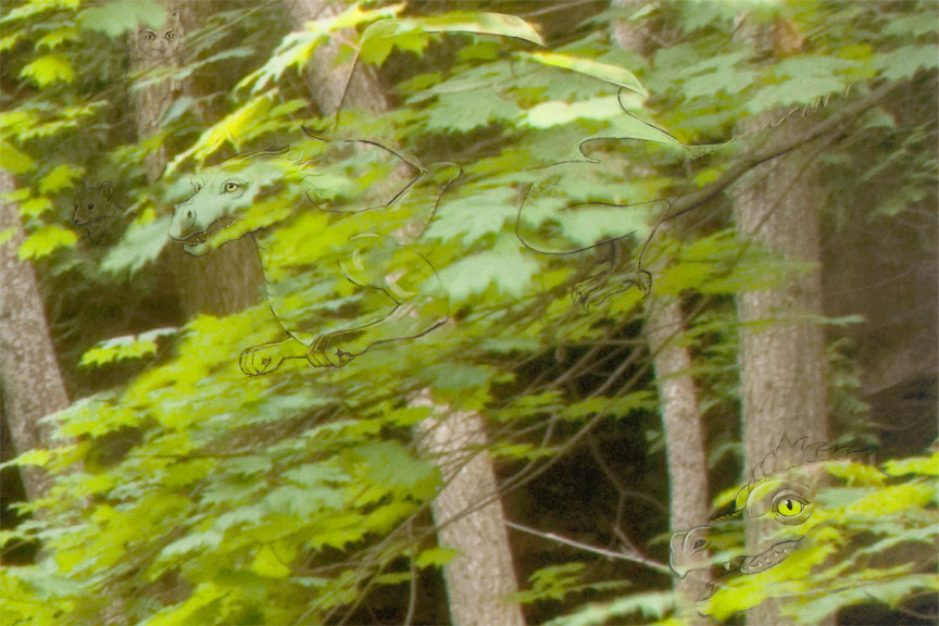 Detail 1