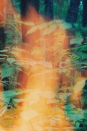 Detail 2