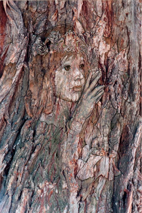 natureschild