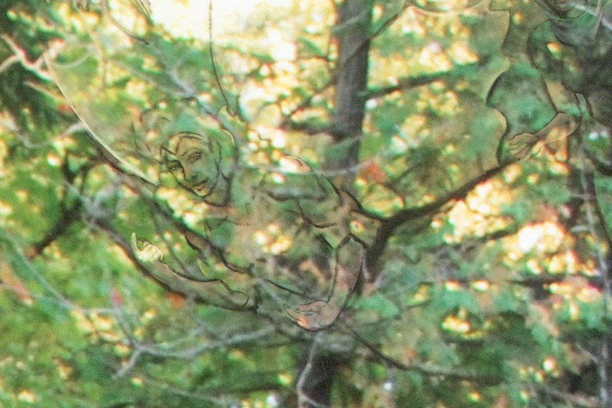 Detail 1