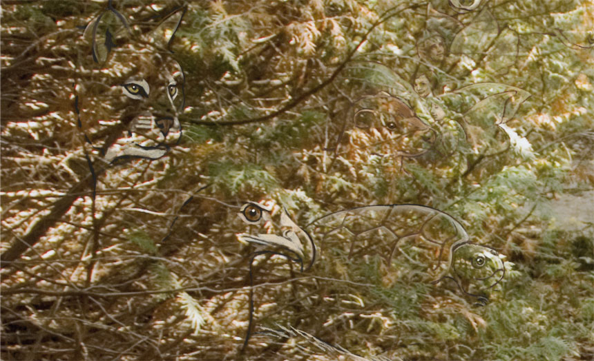 Detail 1
