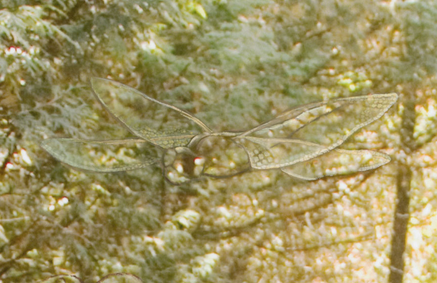 Detail 1