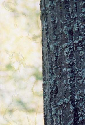 Detail 4