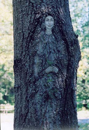 tree of life
